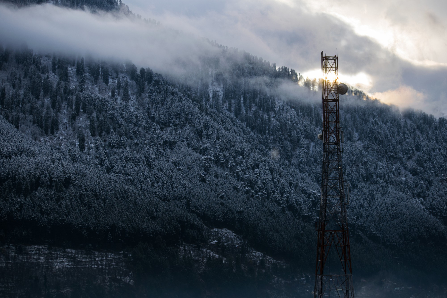 beautiful shot radio tower snowy forest background